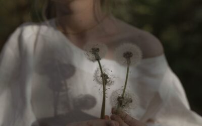25/11 Giornata internazionale per l’eliminazione della violenza contro le donne
